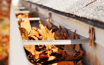 Findon Valley gutter cleaning companies