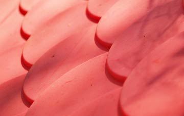 Findon Valley plastic roof costs