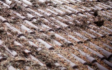 Findon Valley roof cleaning companies